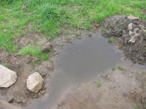 Potůček